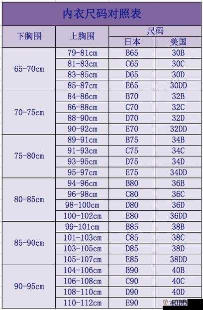 亚洲尺码和欧洲尺码对照工具箱：详细解读与实用技巧介绍